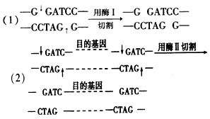 ls和cat的区别 catl与atl的区别 