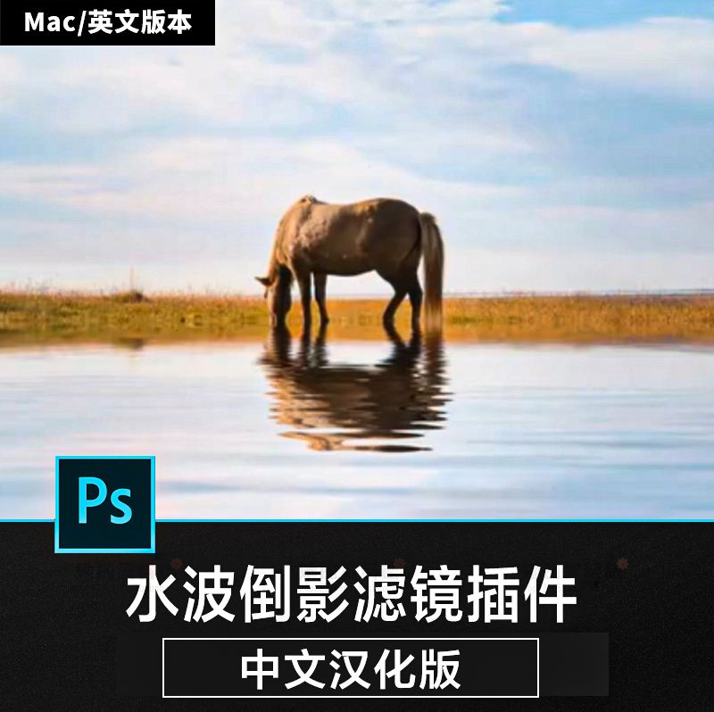 flooding和flood区别 flooding和directory 