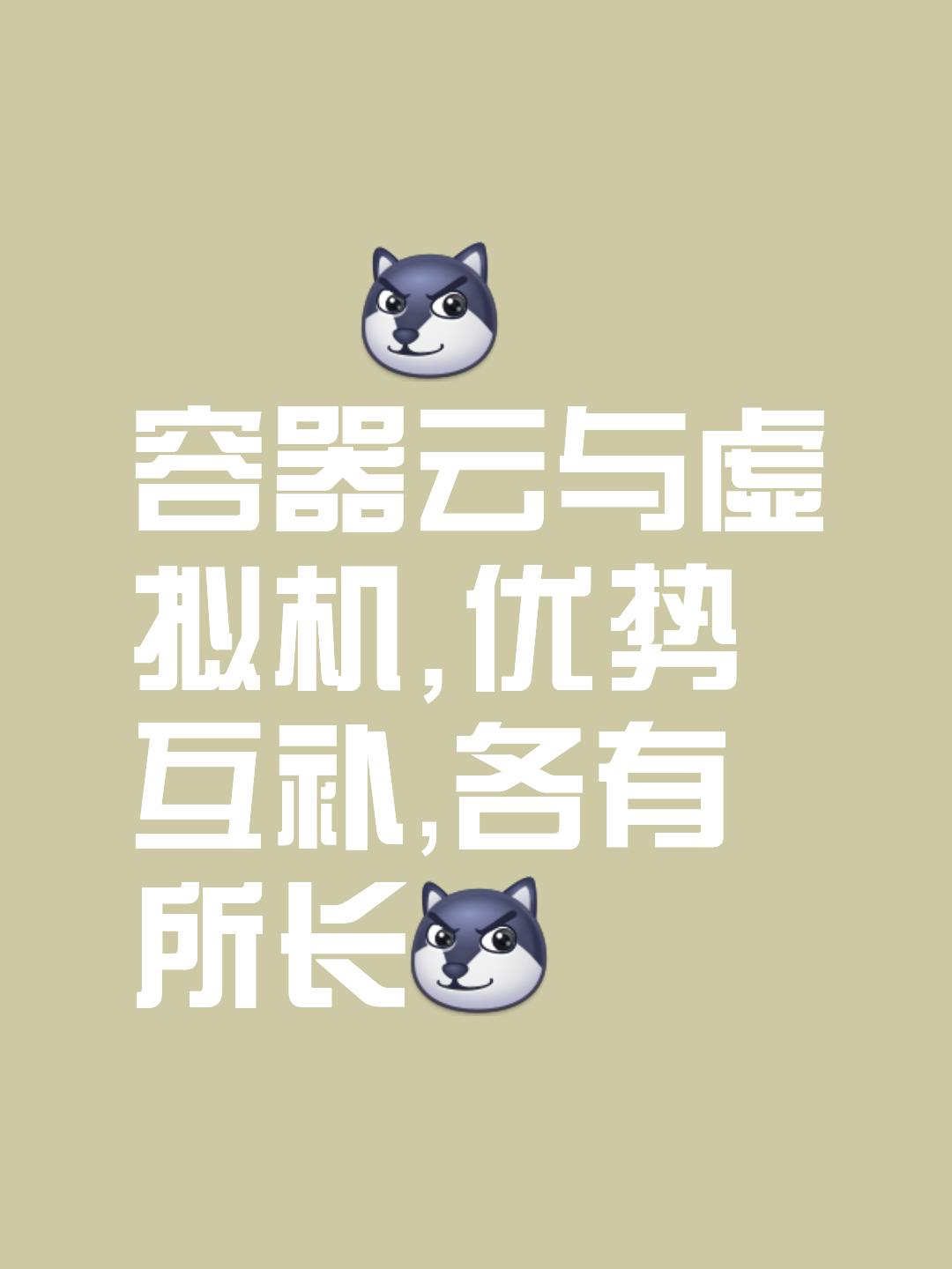 应用和适用的区别 应用和适用的区别是什么 