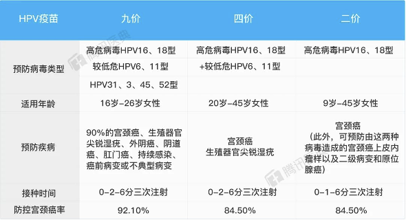 性和型的区别 性和型有啥不同 